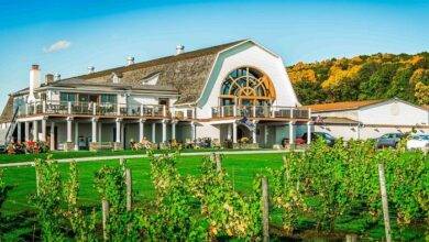 Touring the Wineries of Upstate New York
